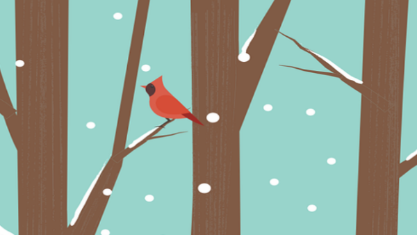 Artistic rendering of bare trees in winter, cardinals perched on four of the branches.